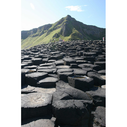 Millwood Pines Giant's Causeway Northern Ireland On Canvas by